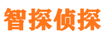 上思侦探公司